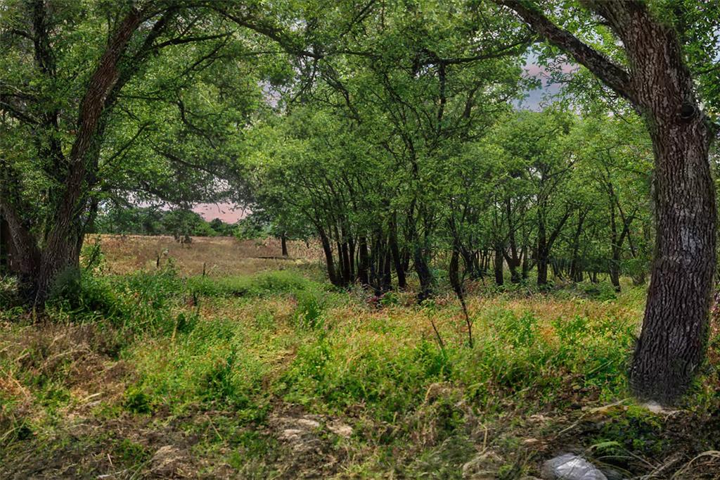 TBD W Flying Owl Drive, Johnson City, Texas image 11