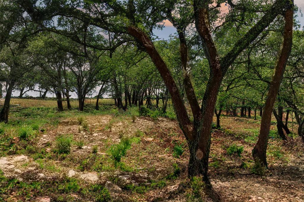 TBD W Flying Owl Drive, Johnson City, Texas image 8