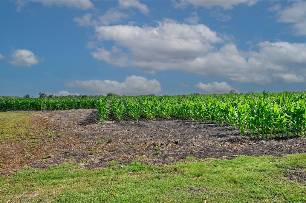 TR 1 Svoboda Road, Wallis, Texas image 5