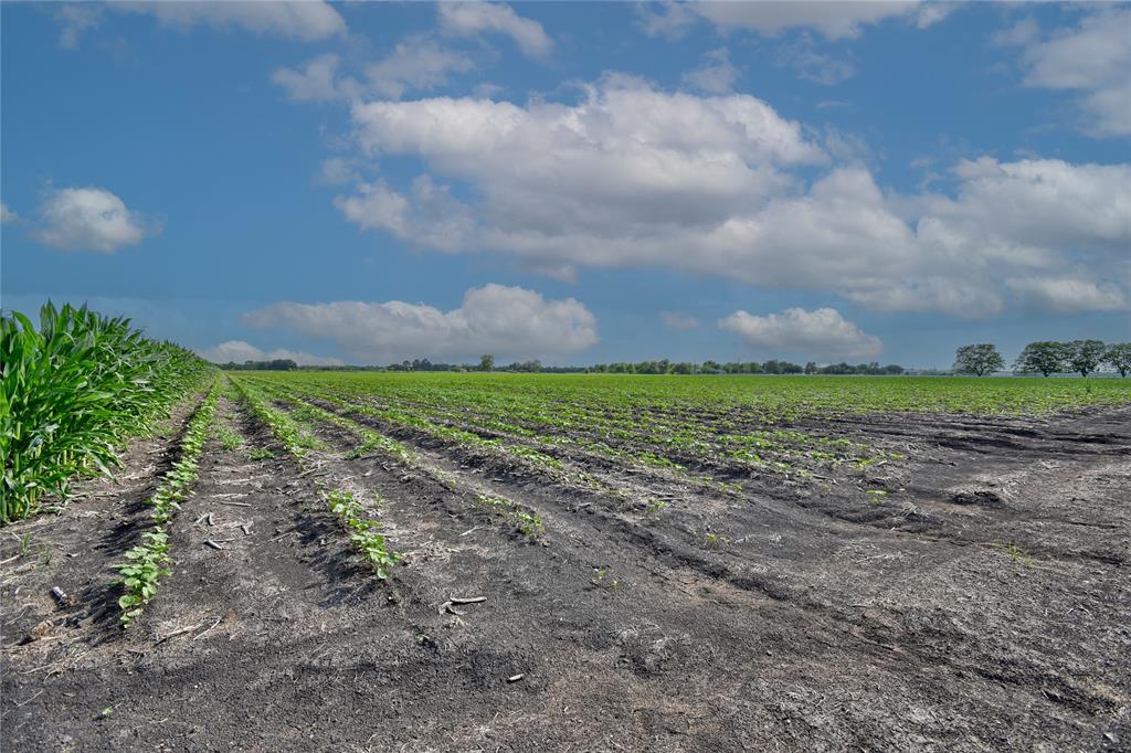 TR 1 Svoboda Road, Wallis, Texas image 6