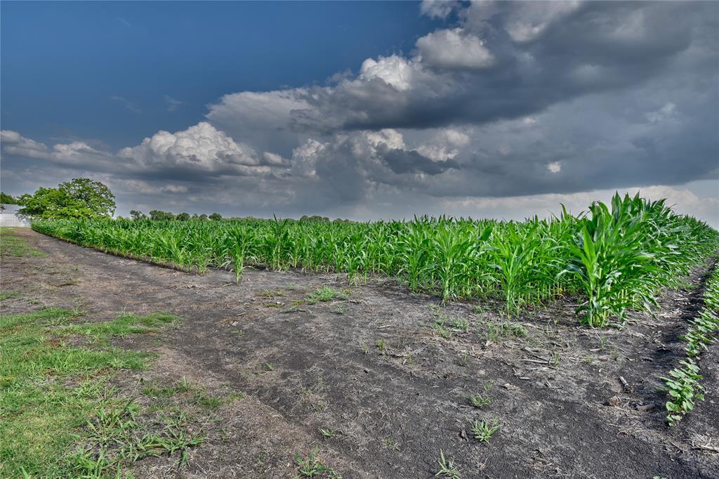 TR 1 Svoboda Road, Wallis, Texas image 8