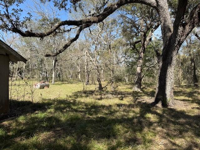 18772 Highway 35, Sweeny, Texas image 15