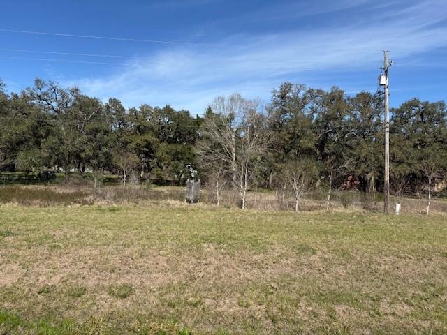 18772 Highway 35, Sweeny, Texas image 3