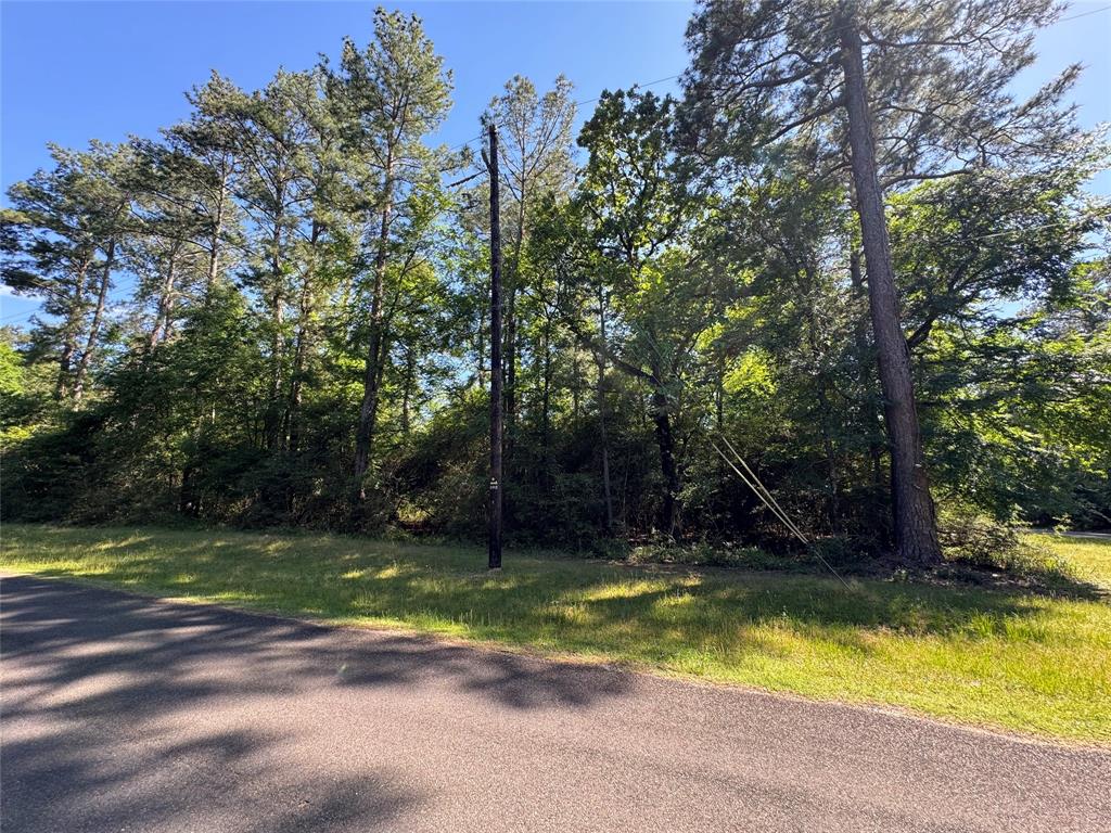 258 Coral Gables, Trinity, Texas image 4