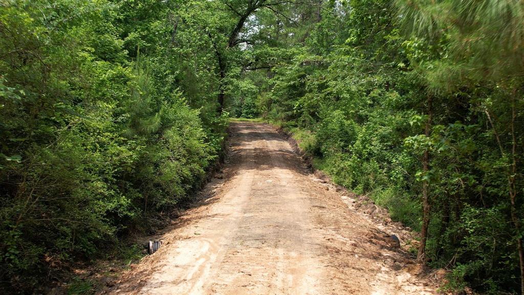 TBD Ben Nelson Road, Livingston, Texas image 3