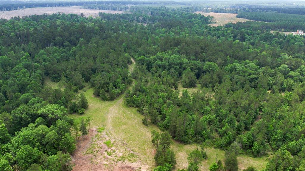 TBD Ben Nelson Road, Livingston, Texas image 7
