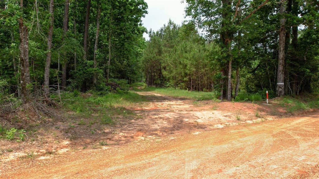 TBD Ben Nelson Road, Livingston, Texas image 2