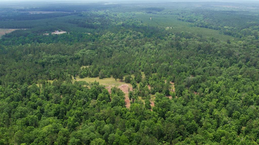 TBD Ben Nelson Road, Livingston, Texas image 6