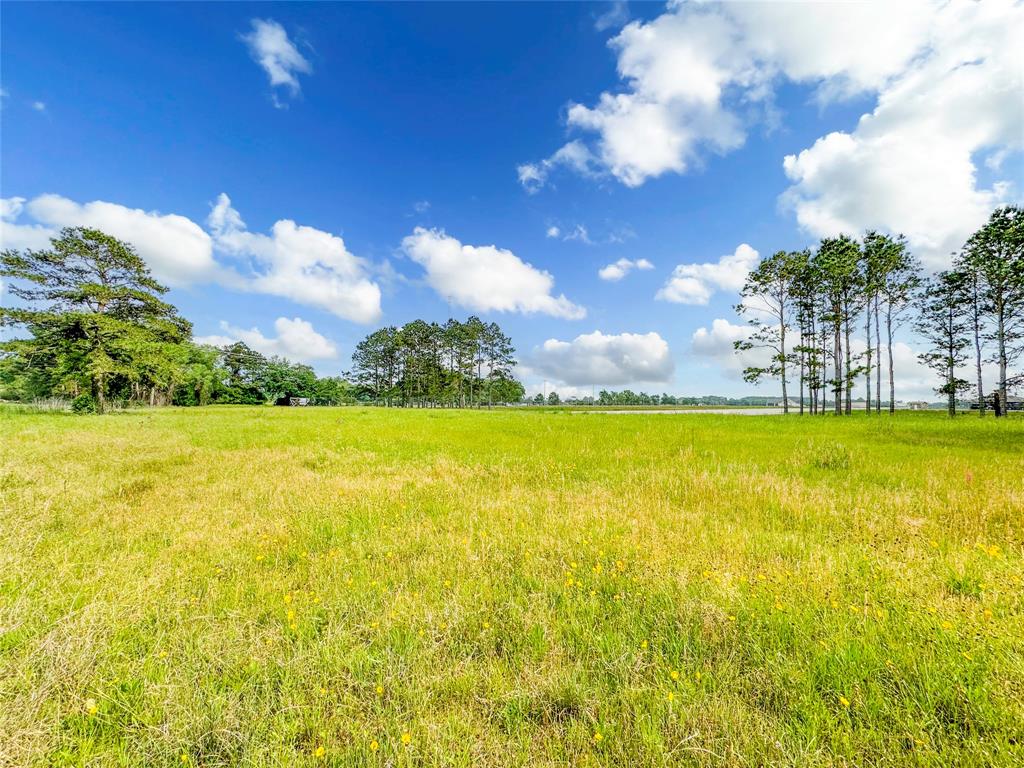 15869 Brush Island Road, Winnie, Texas image 7