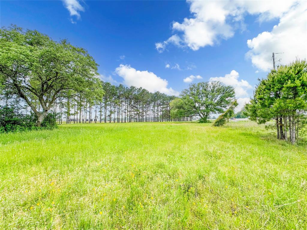 15869 Brush Island Road, Winnie, Texas image 9