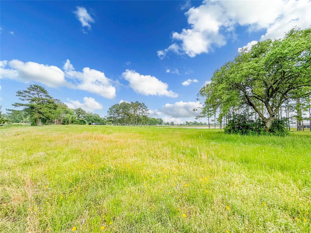 15869 Brush Island Road, Winnie, Texas image 8