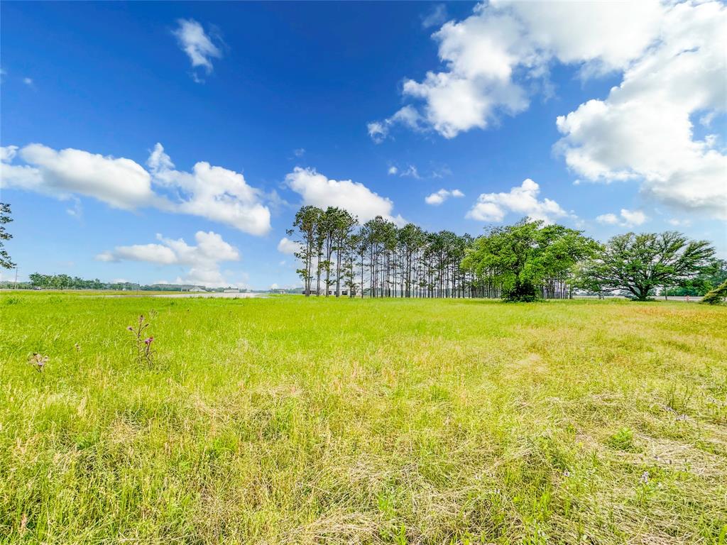 15869 Brush Island Road, Winnie, Texas image 6