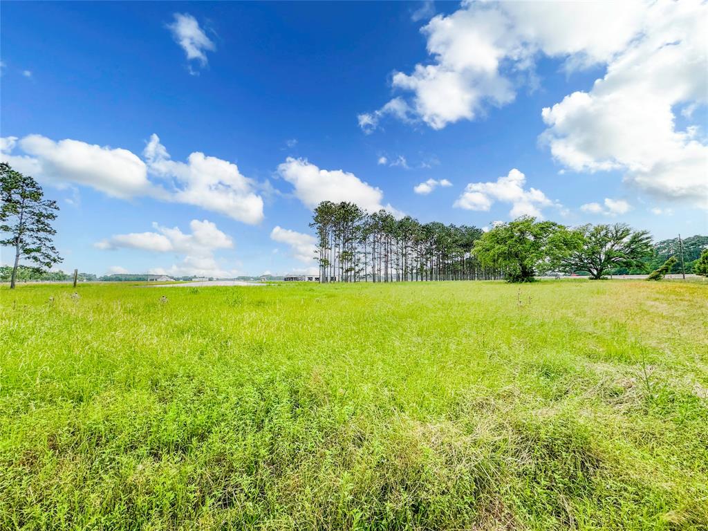 15869 Brush Island Road, Winnie, Texas image 4