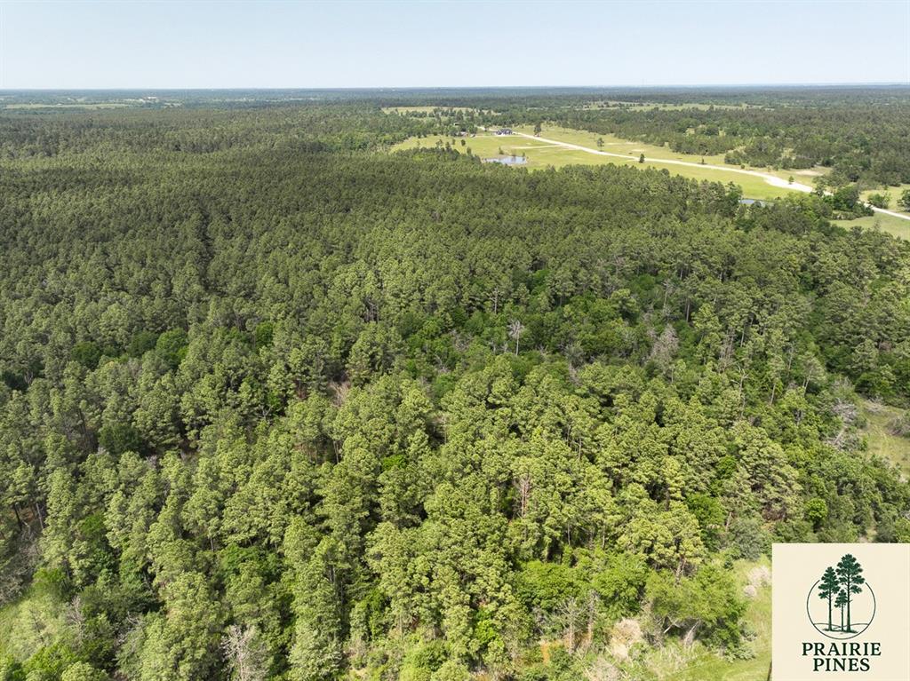 1 Round Prairie Road, Huntsville, Texas image 2