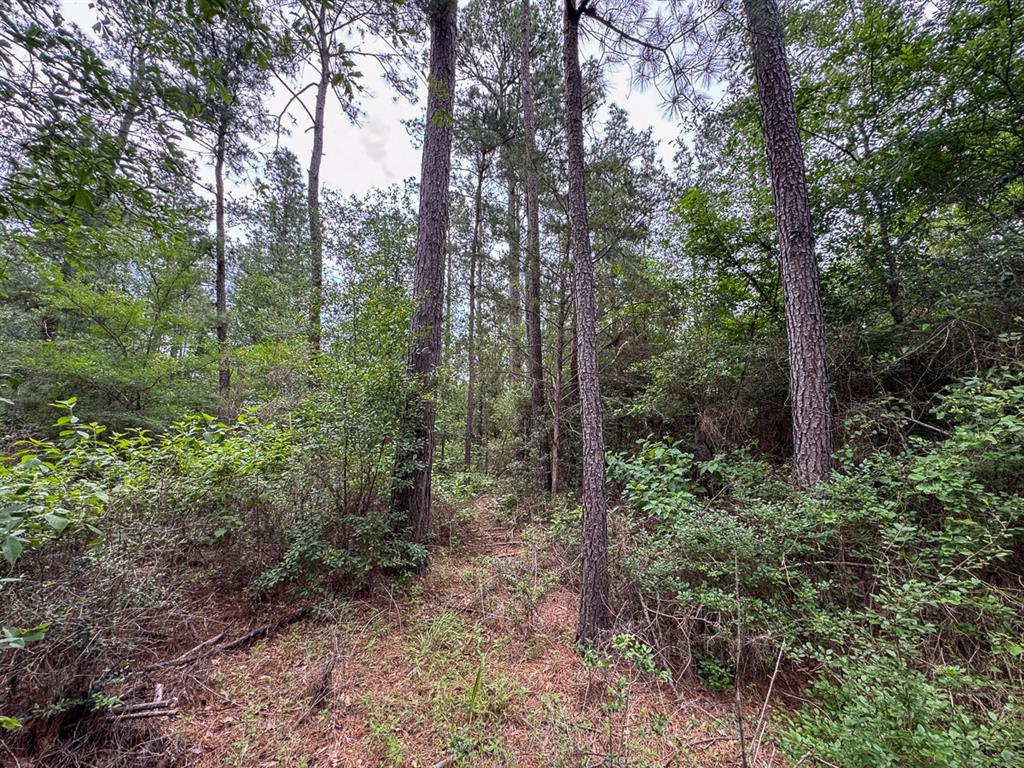 1 Round Prairie Road, Huntsville, Texas image 18
