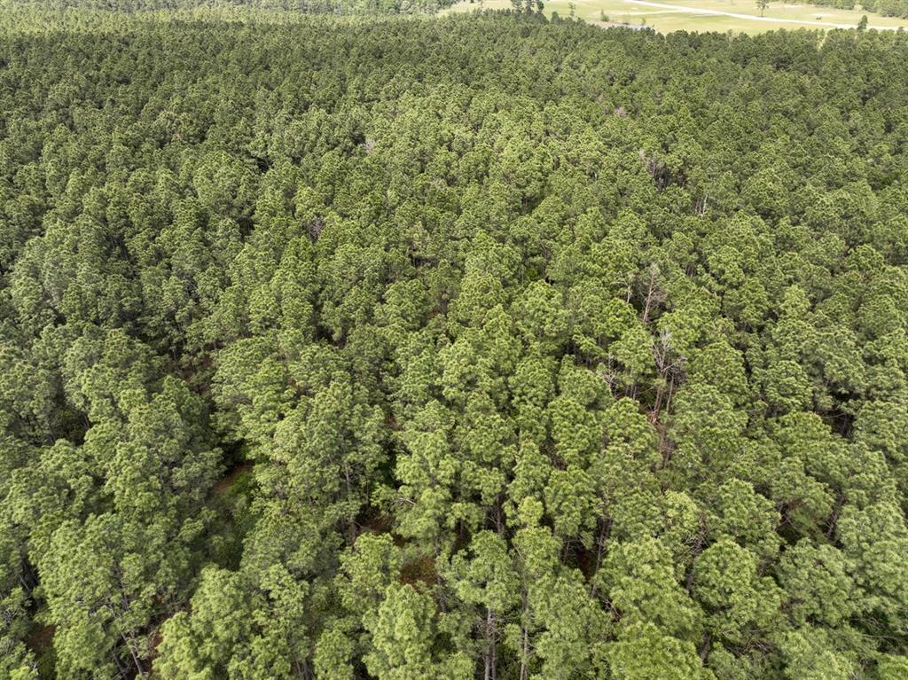 1 Round Prairie Road, Huntsville, Texas image 4