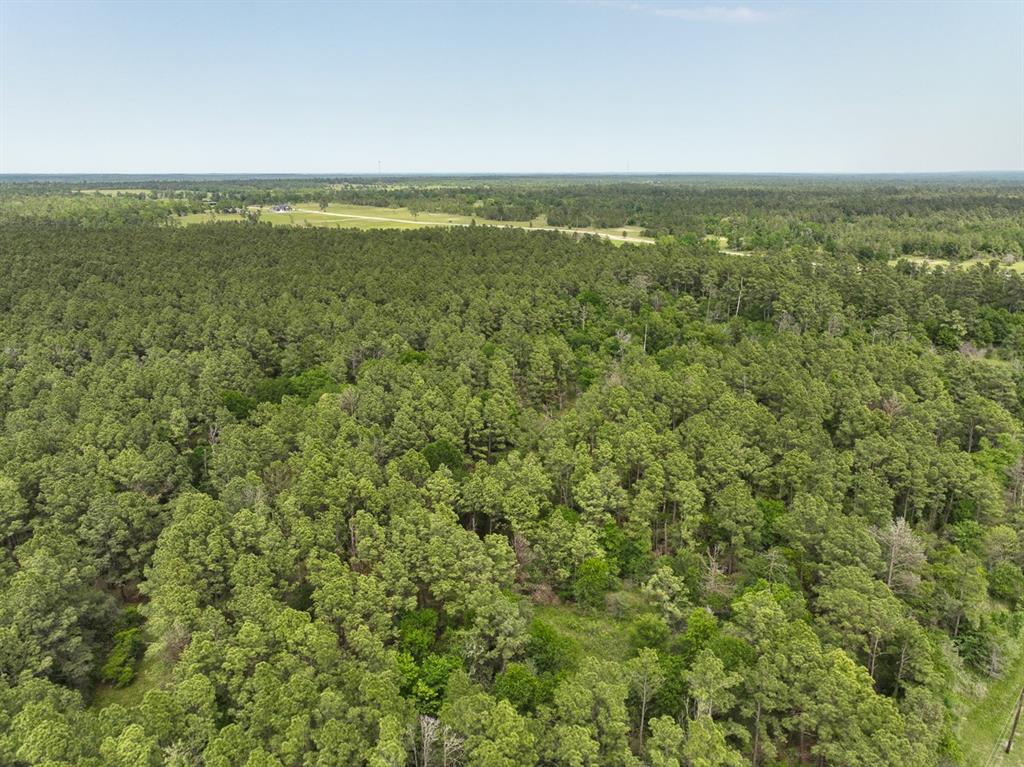1 Round Prairie Road, Huntsville, Texas image 15