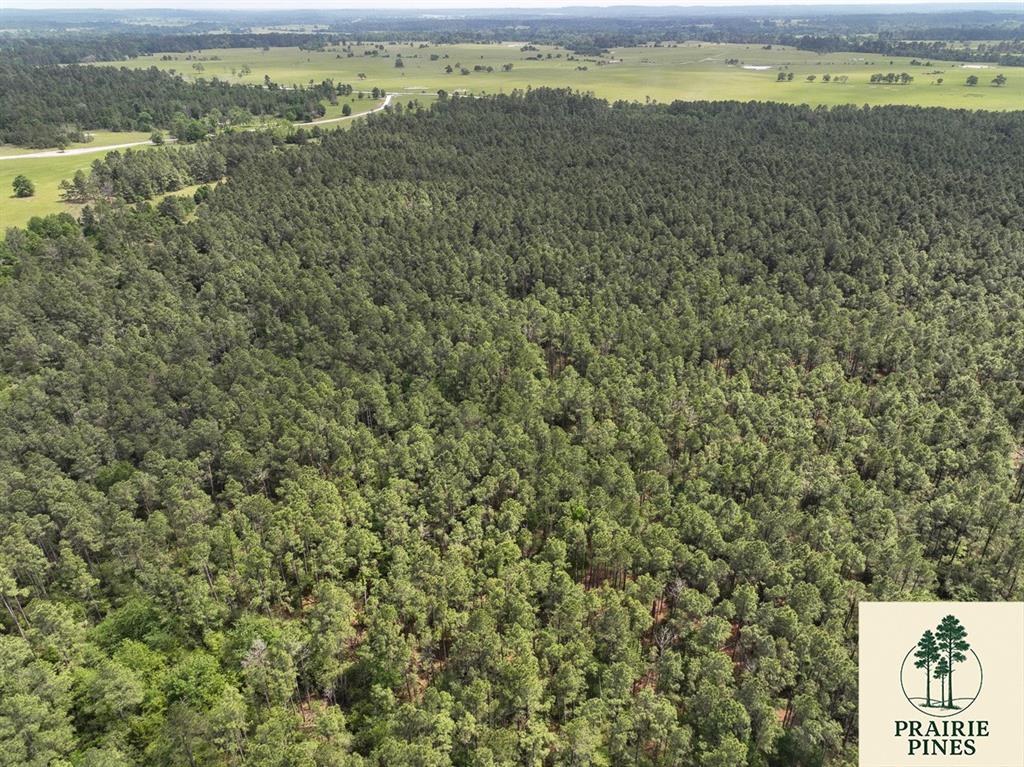 1 Round Prairie Road, Huntsville, Texas image 6