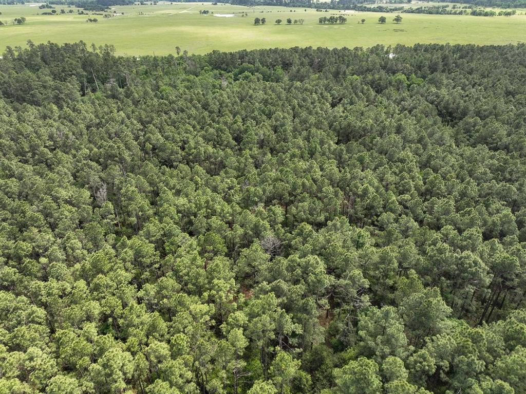 1 Round Prairie Road, Huntsville, Texas image 10