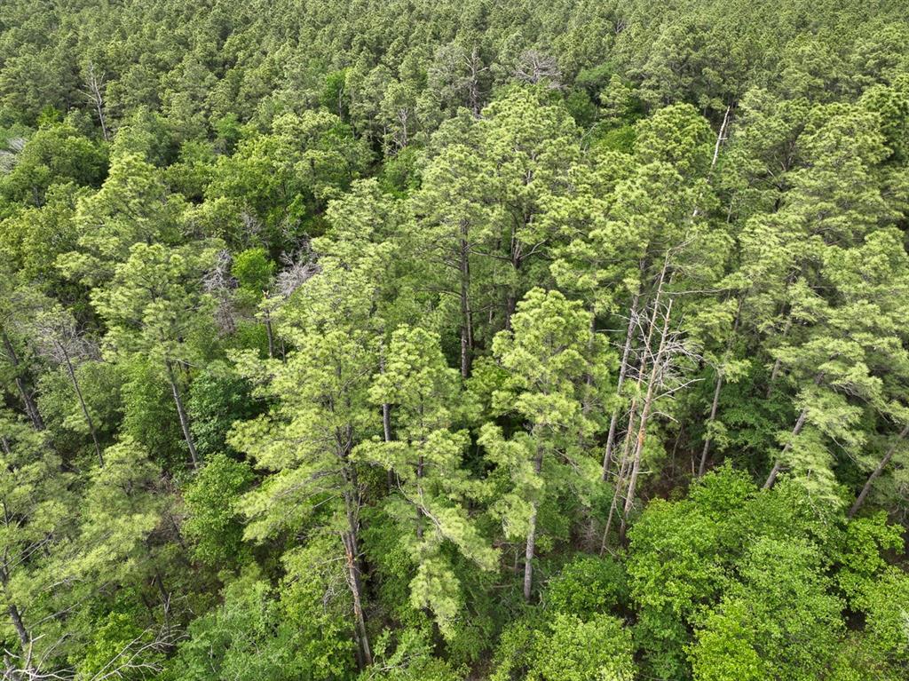 1 Round Prairie Road, Huntsville, Texas image 12