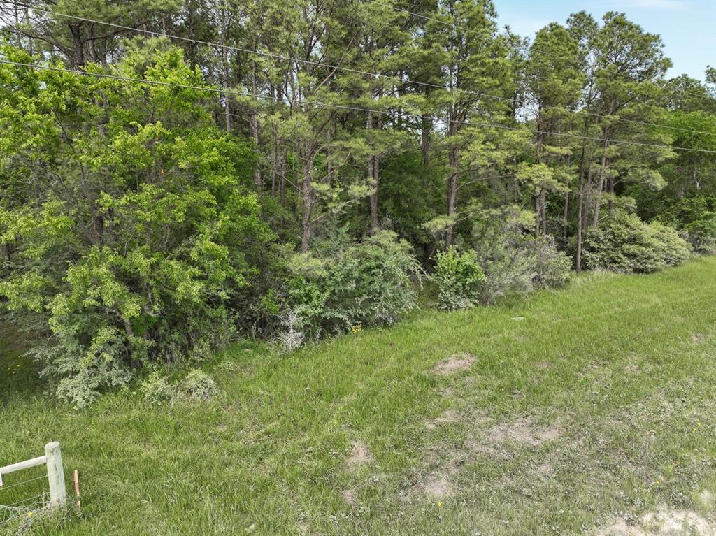 1 Round Prairie Road, Huntsville, Texas image 13