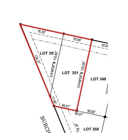 016 TBD Paula Sue Avenue, Shepherd, Texas image 1