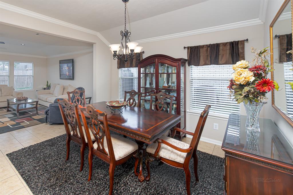 522 Arbor Green Lane, Rosenberg, Texas image 8