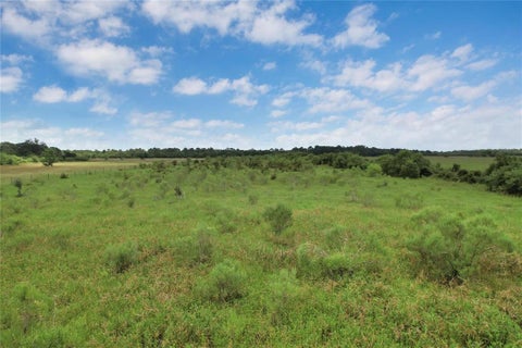 Vacant Land For Sale - 0000 Jobe Wilson Road<br/> Anahuac, TX 77514