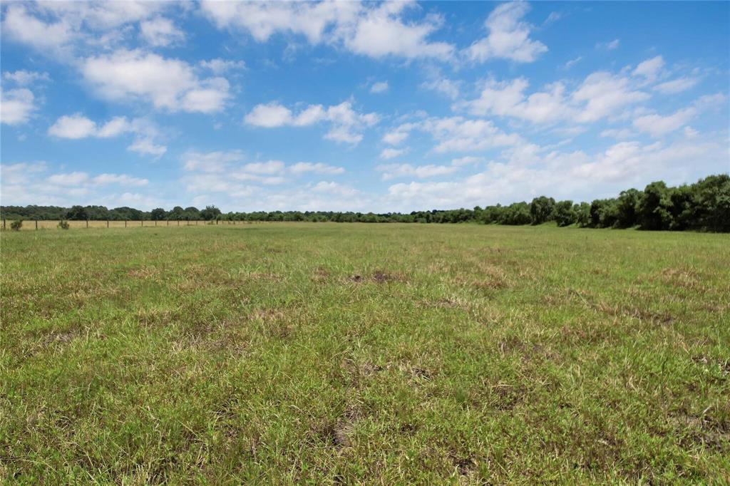 0000 Jobe Wilson Road, Anahuac, Texas image 9