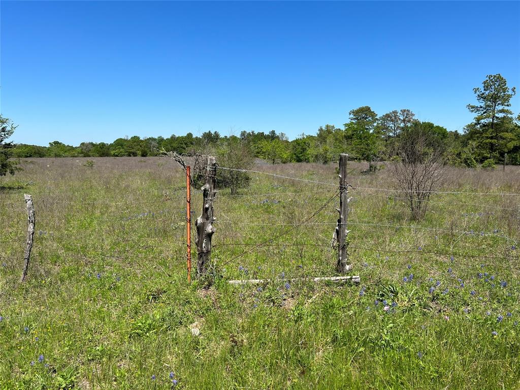 R13945 A0049 J Peterson Tract 11, Anderson, Texas image 13