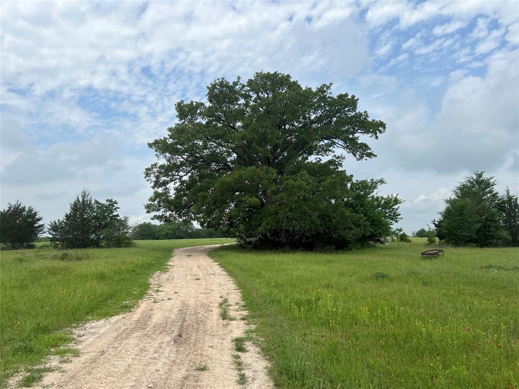 R13945 A0049 J Peterson Tract 11, Anderson, Texas image 1