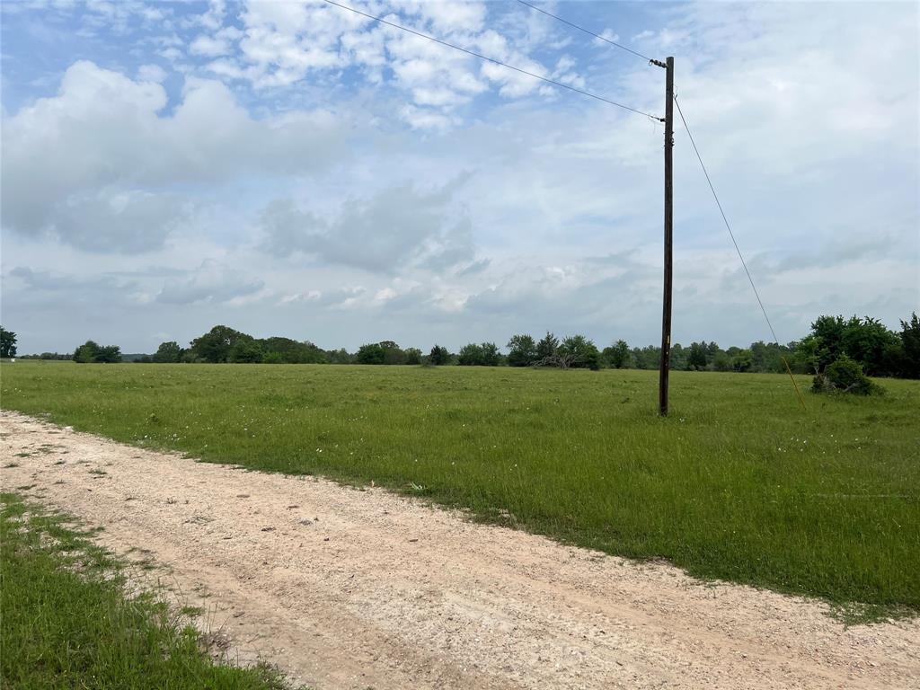 R13945 A0049 J Peterson Tract 11, Anderson, Texas image 3