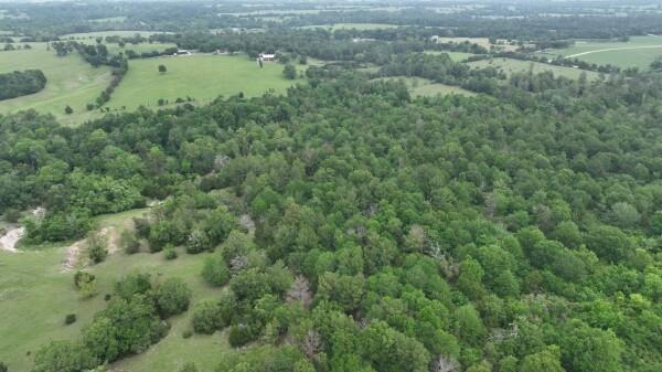 R13945 A0049 J Peterson Tract 11, Anderson, Texas image 17