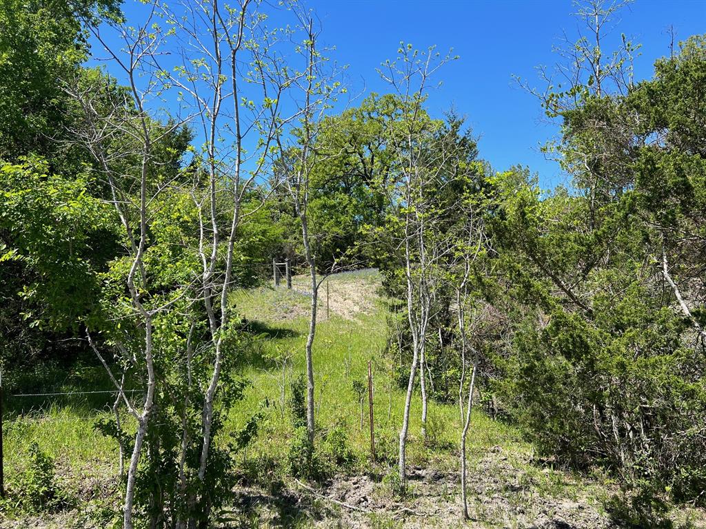 R13945 A0049 J Peterson Tract 11, Anderson, Texas image 11