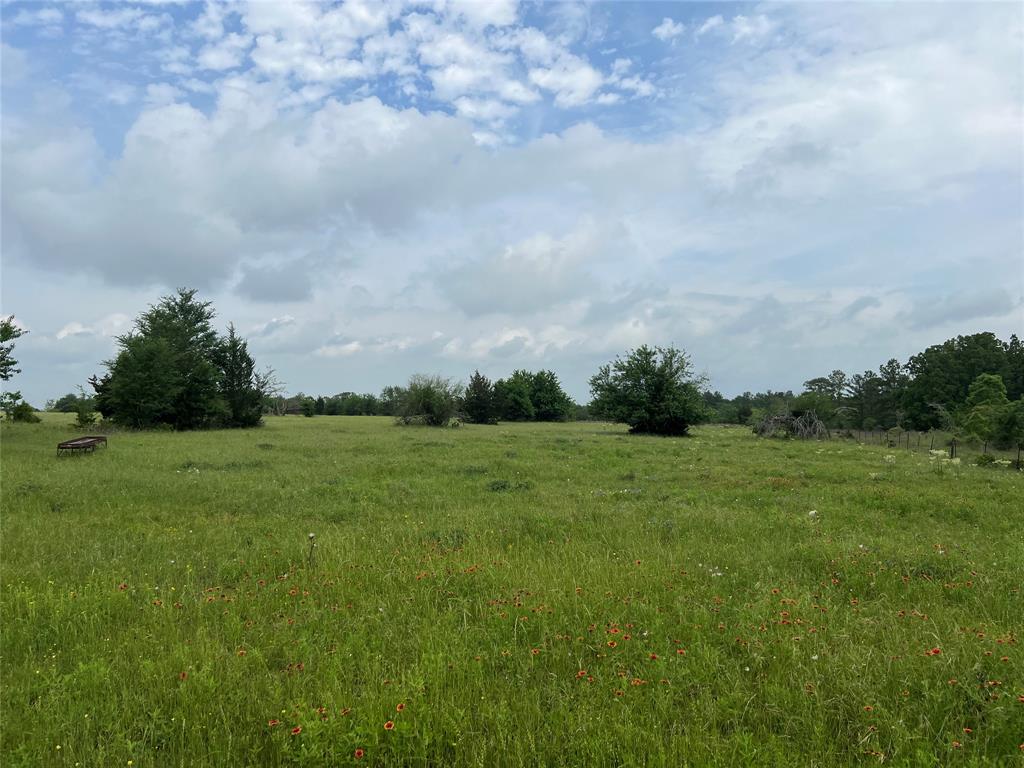 R13945 A0049 J Peterson Tract 11, Anderson, Texas image 12