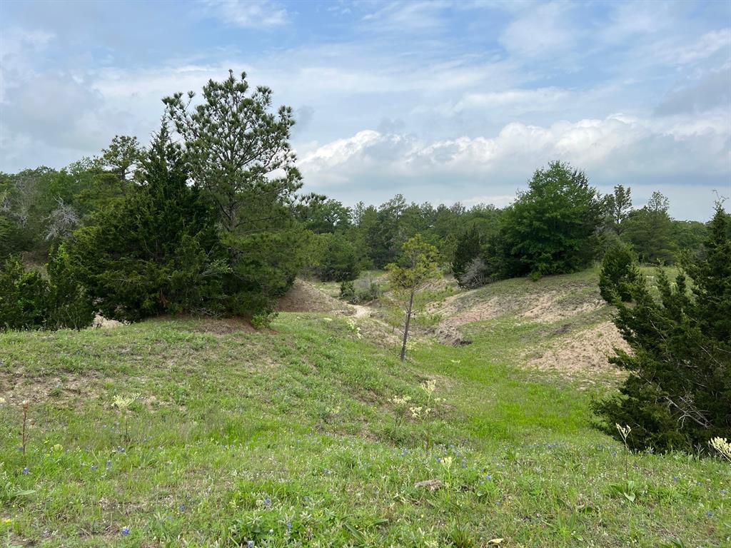 R13945 A0049 J Peterson Tract 11, Anderson, Texas image 7