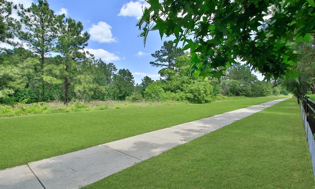 9975 Preserve Way, Conroe, Texas image 47