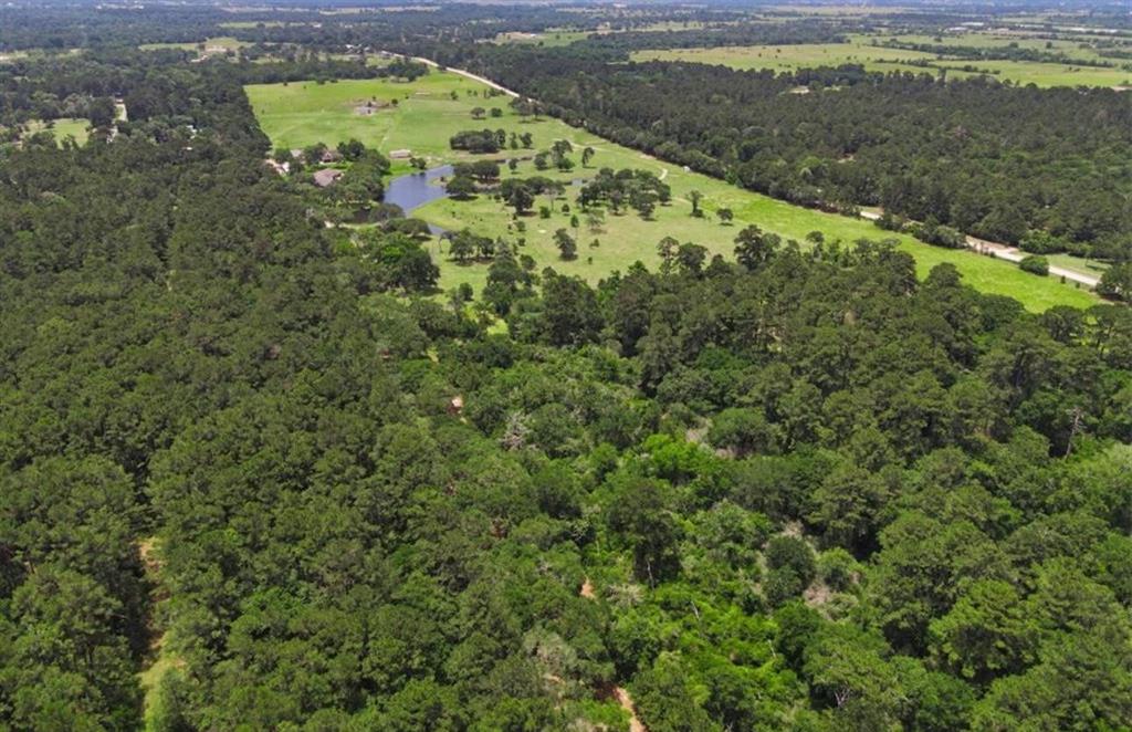 Lot 12 E Hickory Bow Ln Circle, Hempstead, Texas image 5