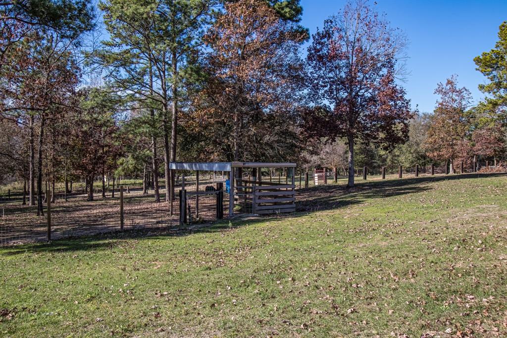 1239 Tony Peebles Road, Livingston, Texas image 32