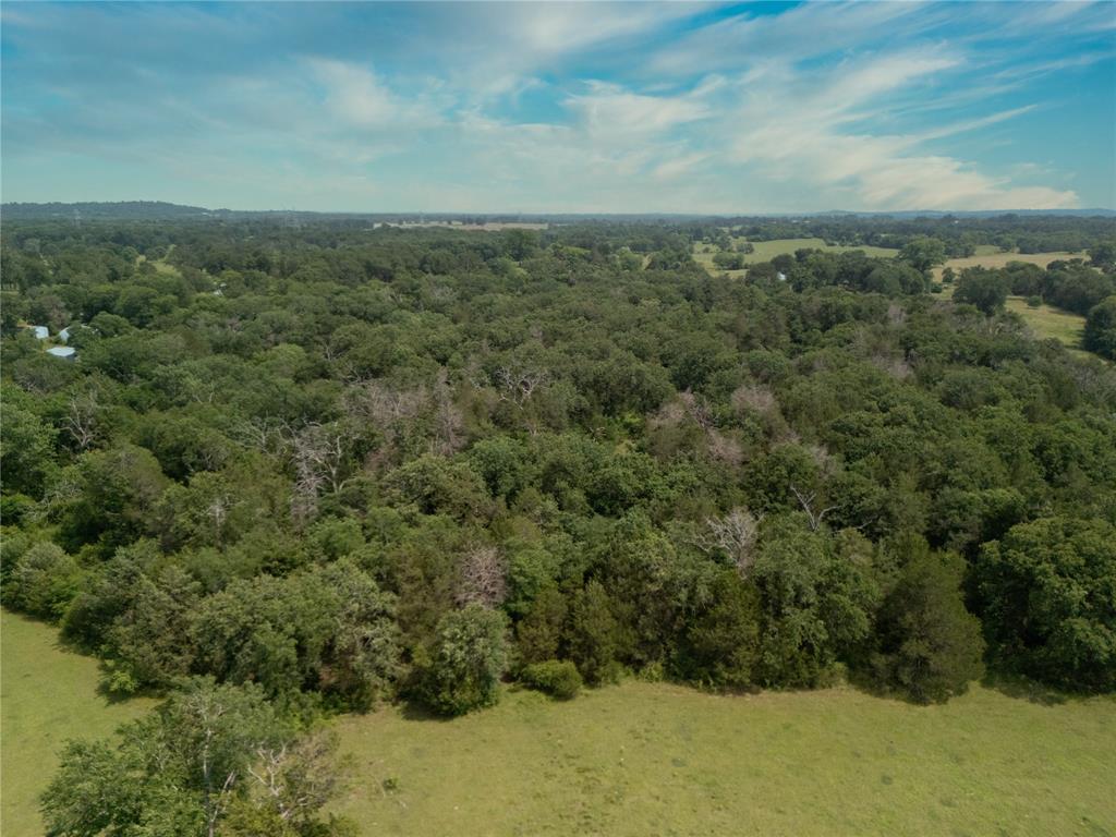 9.2 Acres Cr 471, Teague, Texas image 9