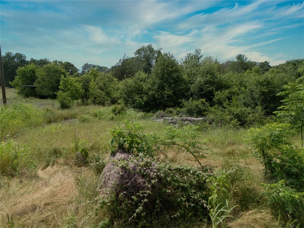 9.2 Acres Cr 471, Teague, Texas image 22
