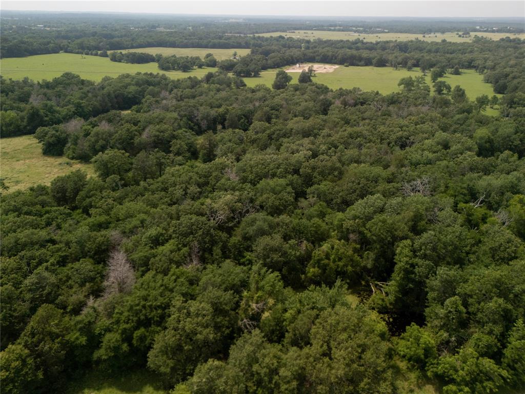 9.2 Acres Cr 471, Teague, Texas image 17
