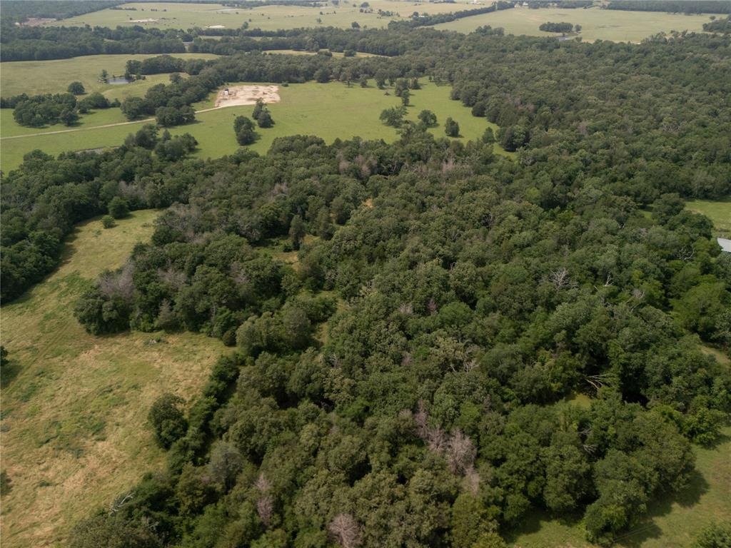 9.2 Acres Cr 471, Teague, Texas image 5