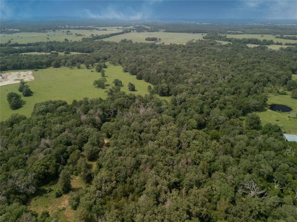9.2 Acres Cr 471, Teague, Texas image 6