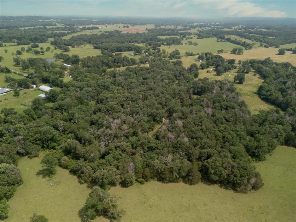 9.2 Acres Cr 471, Teague, Texas image 8