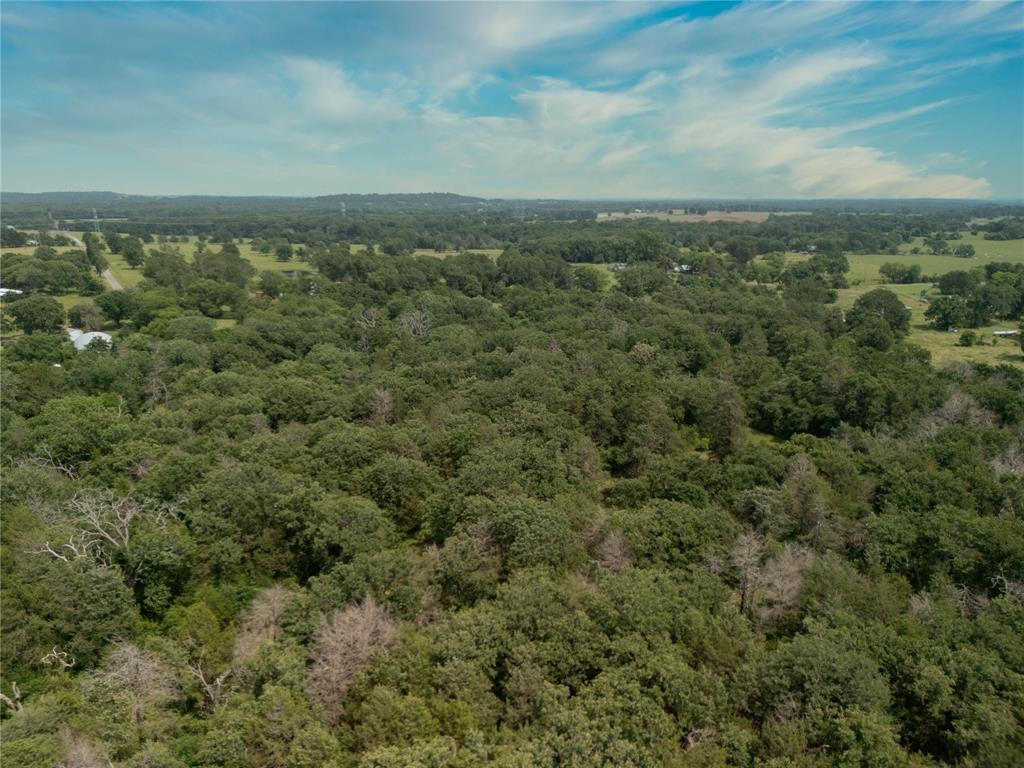 9.2 Acres Cr 471, Teague, Texas image 10