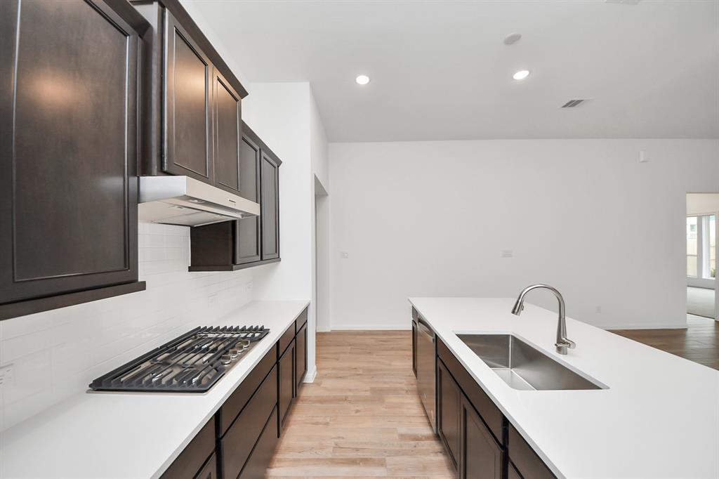 24910 Water Birch Way, Katy, Texas image 24