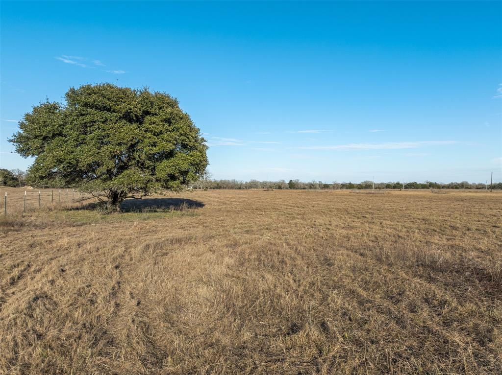 1945 Bell Settlement Road, Ledbetter, Texas image 2