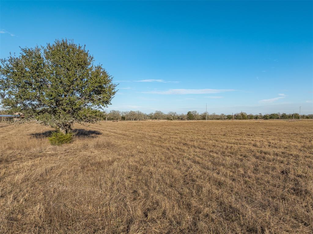 1945 Bell Settlement Road, Ledbetter, Texas image 19