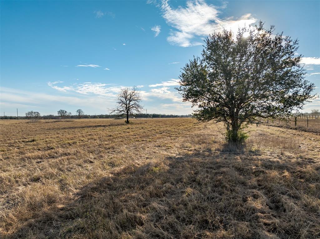 1945 Bell Settlement Road, Ledbetter, Texas image 18